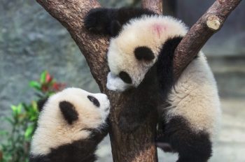 Image 2-16-25 at 10.07 PM